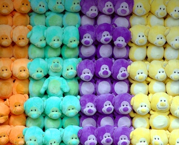 Pet-Products-plastic