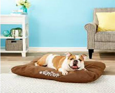 translator-services for clients